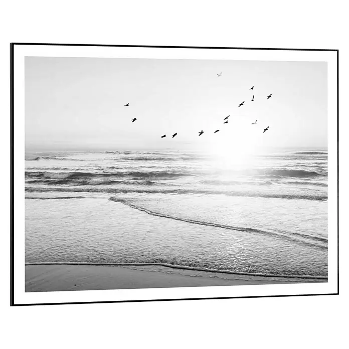 Reinders Bild Slim Frame Black - Beach Serenity, B x H: 70 x 50 cm - Schwarz-Weiß-Fotografie eines Ozeans mit fliegenden Vögeln, präsentiert in einem eleganten Rahmen.