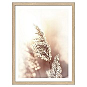 ProArt Slika Slim Scandic  (Dried Fiber, Š x V: 33 x 43 cm) | 6767 - Gerahmte Bilder | HFDC - Fertigbilder | HFD - Galerie | HF - Galerie | H - Innendeko/Farben | BAUHAUS