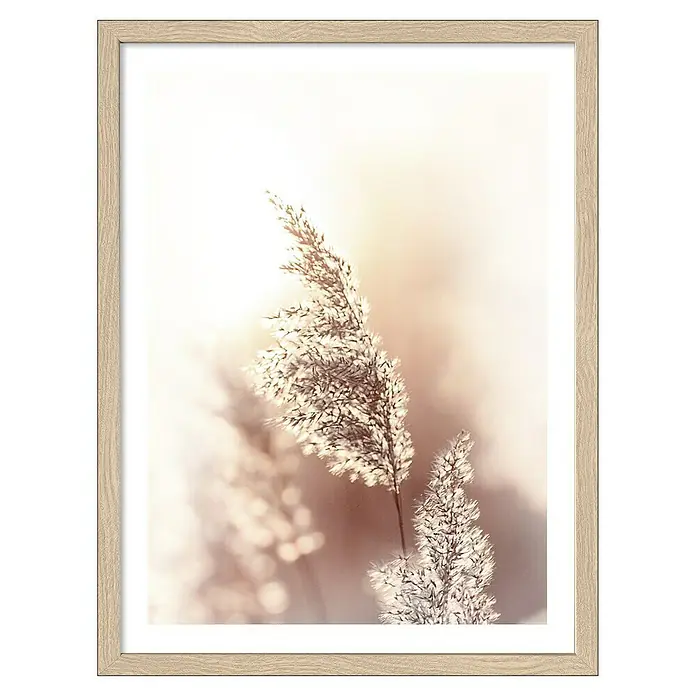 ProArt Bild Slim Scandic - Dried Fiber, B x H: 33 x 43 cm - Gerahmtes Kunstwerk mit einem zarten Gräser Motiv in sanften Farben, das eine ruhige und natürliche Atmosphäre vermittelt.