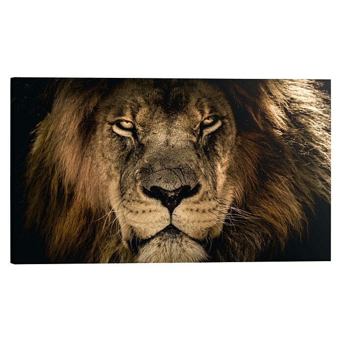 Holzbild Deco BlockDark Lion, B x H: 118 x 70 cm Front View