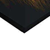Holzbild Deco Block (Dark Lion, B x H: 118 x 70 cm) | BAUHAUS