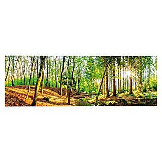 Reinders Decopanel (Spring Woods, B x H: 156 x 52 cm)