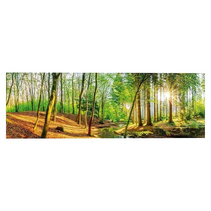 Reinders Decopanel - Spring Woods, B x H: 156 x 52 cm - Sonnenstrahlen durchdringen den Wald und erhellen den Bachlauf, der sich malerisch durch die Bäume schlängelt.