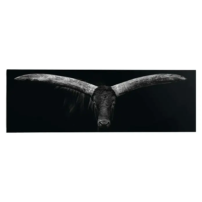 Reinders Decopanel - Ochs Horns, B x H: 156 x 52 cm - Schwarz-Weiß-Foto eines imposanten Bullen mit langen Hörnern vor dunklem Hintergrund, das die Kraft und Eleganz des Tieres betont.