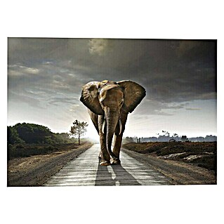 Decoratief paneel (Elephant King, b x h: 140 x 100 cm)