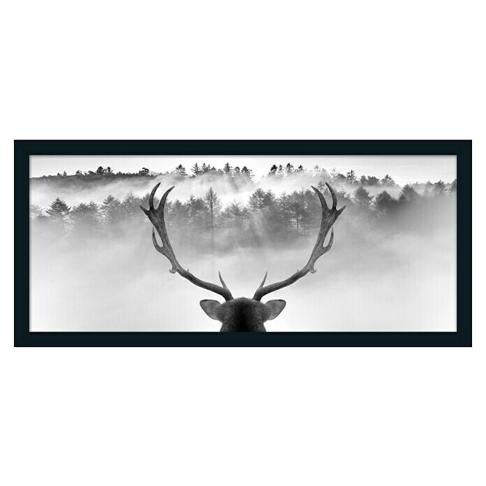 ProArt Bild Framed Art Oversized (King of the Forest, B x H: 124 x 50 cm) | BAUHAUS