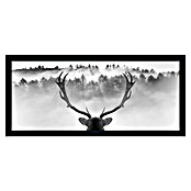 ProArt Bild Framed Art Oversized (King of the Forest, B x H: 124 x 50 cm) | BAUHAUS