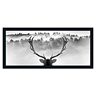 ProArt Bild Framed Art Oversized (King of the Forest, B x H: 124 x 50 cm)