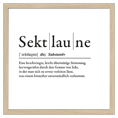 ProArt  Bild Slim Scandic