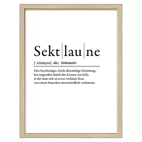 ProArt  Bild Slim Scandic