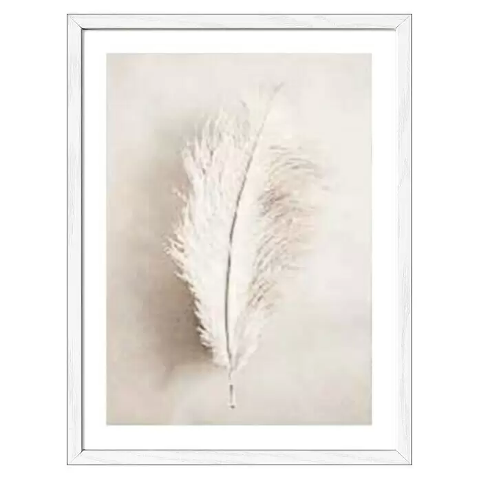 ProArt Bild Slim Scandic - The Feather II, B x H: 33 x 43 cm - Vorderansicht