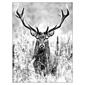 ProArt Type Hype Slika na lesu  (Grey Deer Head II, Š x V: 60 x 80 cm) | 6763 - Holzbilder | HFDC - Fertigbilder | HFD - Galerie | HF - Galerie | H - Innendeko/Farben | BAUHAUS