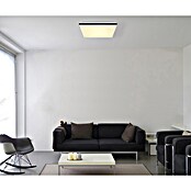 Globo LED stropna svjetiljka Ully  (24 W, D x Š x V: 48,5 x 48,5 x 6 cm, Bijela, Crna) | BAUHAUS