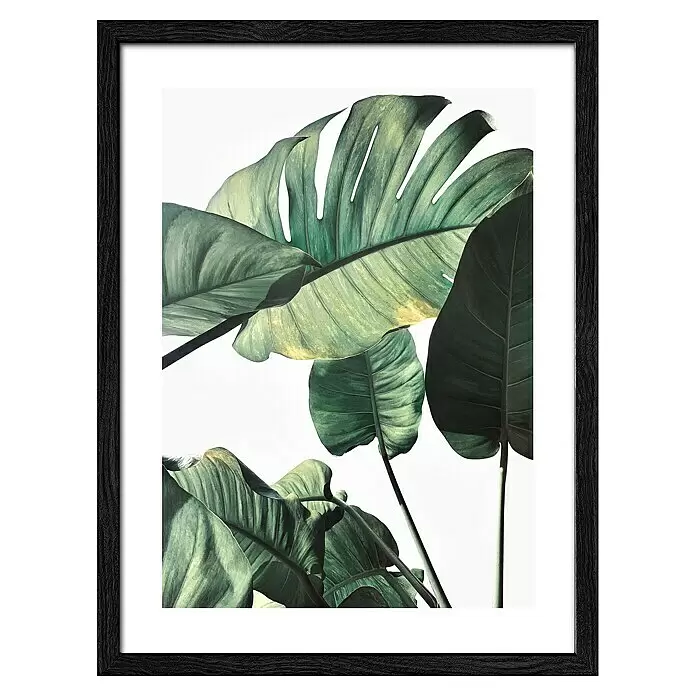 ProArt Bild Slim Scandic - Leaves I, B x H: 33 x 43 cm - Vorderansicht