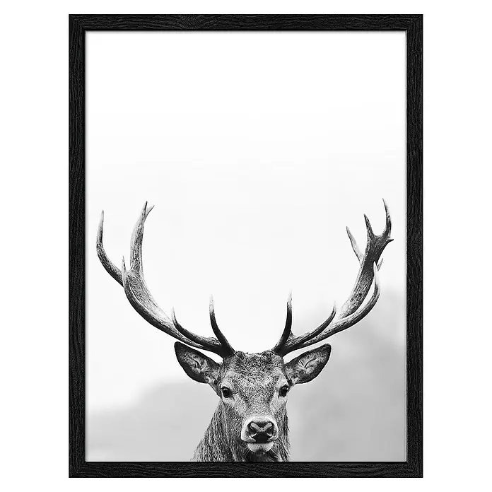 ProArt Bild Slim Scandic - Grey Deer Head III, B x H: 33 x 43 cm - Schwarz-Weiß-Fotografie eines Hirsches mit beeindruckendem Geweih in einem stilvollen schwarzen Rahmen, die jedem Raum Eleganz verleiht.