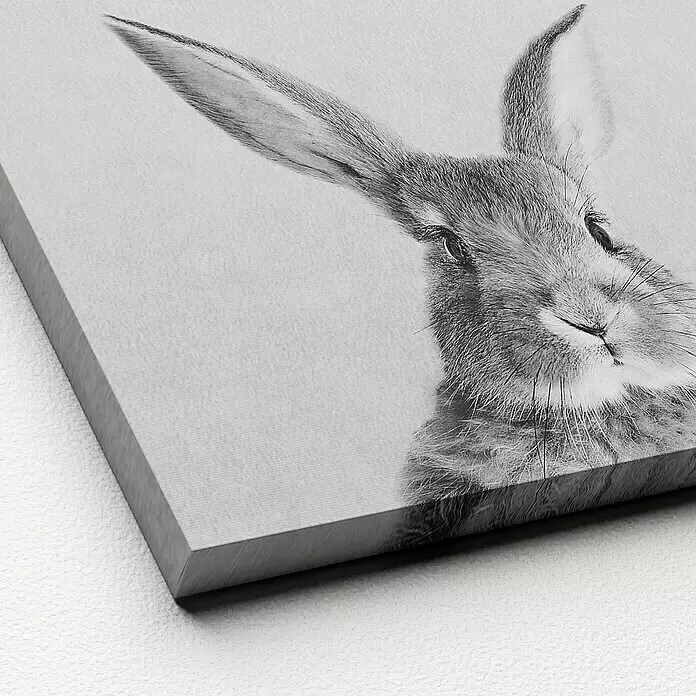 ProArt Young Living Leinwandbild - Rabbit, B x H: 30 x 30 cm - Schwarz-weißer Leinwanddruck eines Kaninchens, schräg gezeigt mit strukturierter Oberfläche und dickem Rand.