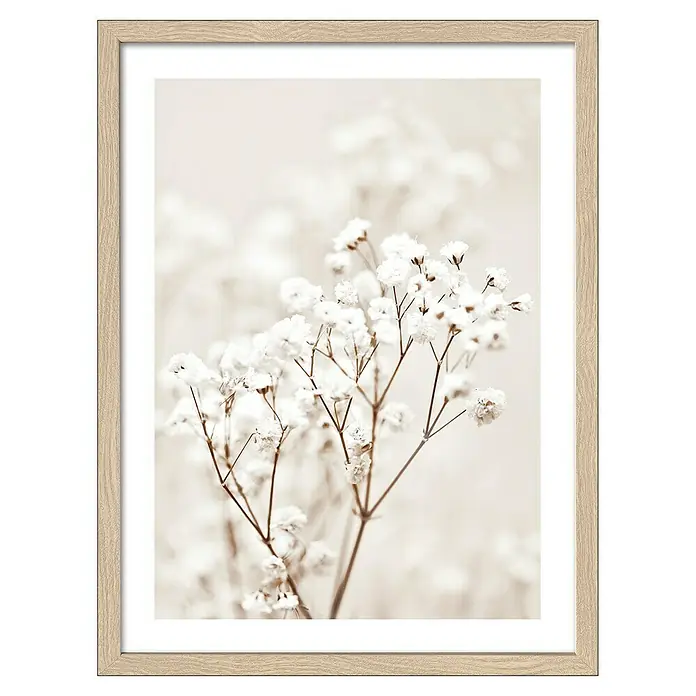 ProArt Bild Slim Scandic - Dried Fiber in the Wind, B x H: 33 x 43 cm - Ein gerahmtes Kunstwerk mit zarten weißen Blüten, das eine ruhige und elegante Atmosphäre in jeden Raum bringt. Die sanften Farbtöne beruhigen.