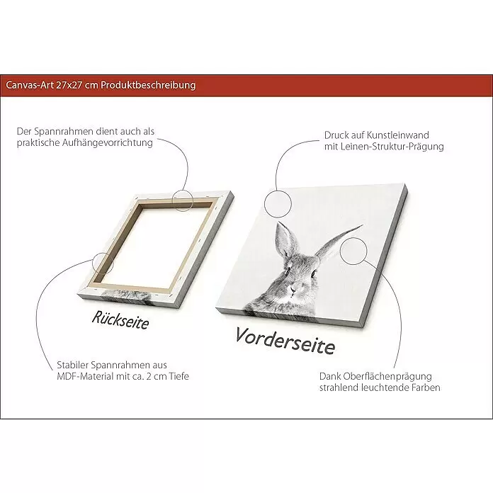 ProArt Young Living Leinwandbild - Rabbit, B x H: 30 x 30 cm - Leinwandbild 27x27 cm mit Leinenstruktur und stabilem, 2 cm tiefem MDF-Spannrahmen, der auch als Aufhängevorrichtung dient.