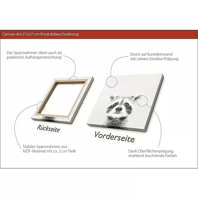 ProArt Young Living Leinwandbild - Young Racoon, B x H: 30 x 30 cm - Anwendungsbeispiel