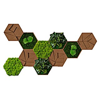 styleGreen Moosbild Hexagon (19 x 22 cm, null)