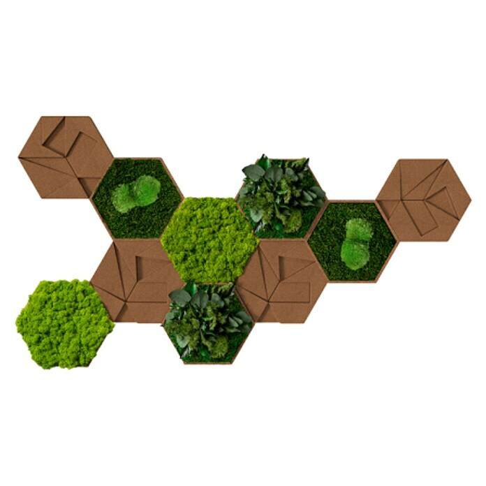 styleGreen Moosbild Hexagon19 x 22 cm Front View