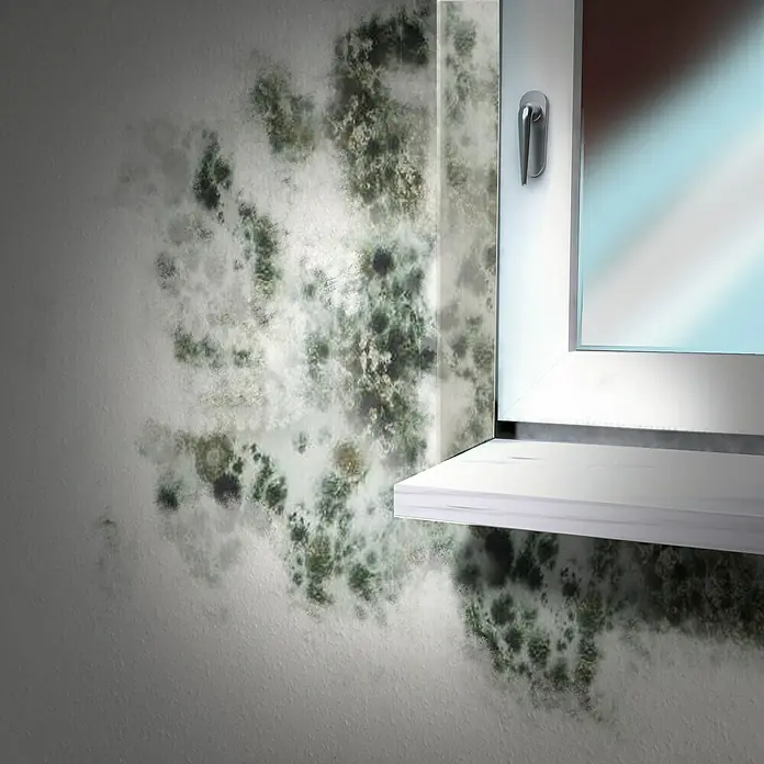 MEM Schimmel-Entferner - 500 ml - Das Bild zeigt eine Wand mit Schimmelbefall neben einem weißen Fensterrahmen. Das Problem mit dem Schimmel sollte angegangen werden.