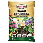 Substral Naturen Blumenerde (5 l) | BAUHAUS