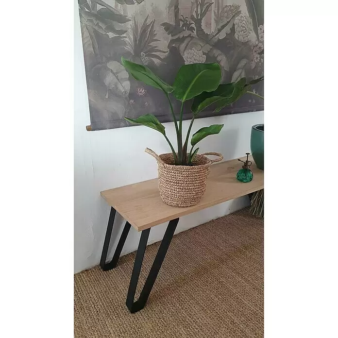 Möbelfuß - L x B x H: 5 x 24,4 x 40 cm, Traglast: 100 kg, Stahl - Stimmungsaufnahme