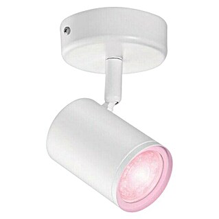 Philips Wiz Aplique exterior LED inteligente (5 W, L x An x Al: 12,3 x 8 x 10,5 cm, Blanco, RGBW)