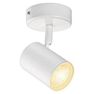 Philips Wiz Aplique exterior LED inteligente  (5 W, L x An x Al: 12,3 x 8 x 10,5 cm, Blanco, Blanco frío)