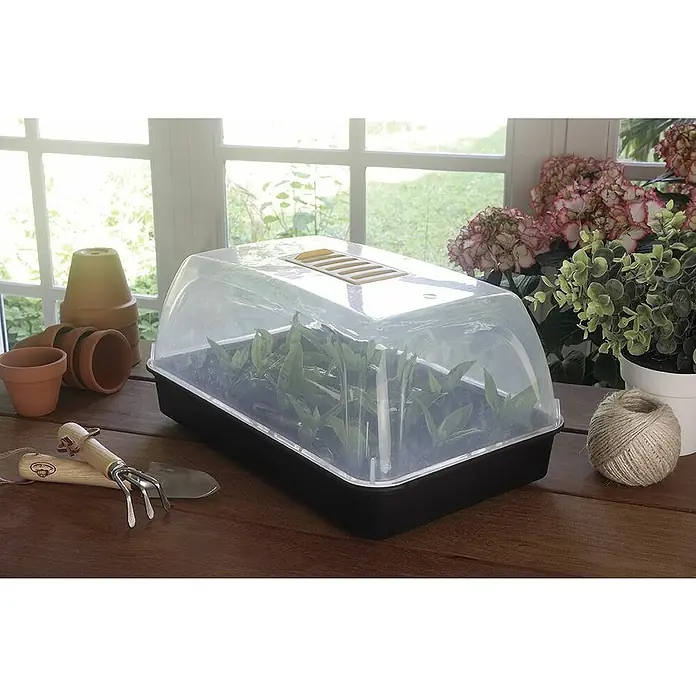 Nortene Invernadero Rapid grow - Medidas ext. (An x Pr): 24 x 38 cm, Antracita/Trasparente - Primer plano de un propagador con herramientas, macetas de terracota y plantas sobre una mesa de madera, ideal para iniciar plántulas.
