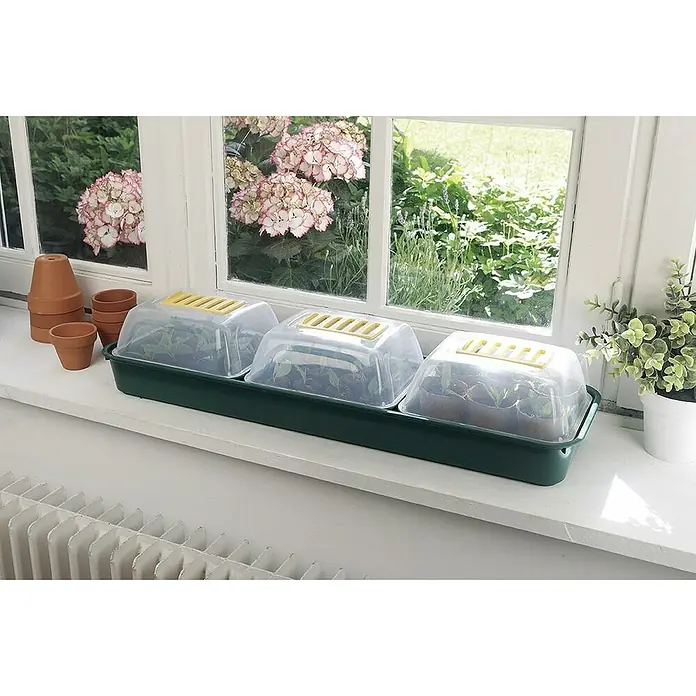 Nortene Invernadero Kit window - Medidas ext. (An x Pr): 19 x 66 cm, Verde/Transparente - Tres mini invernaderos con bandejas verdes en un alféizar, perfectos para el cultivo de plantas jóvenes en interior.