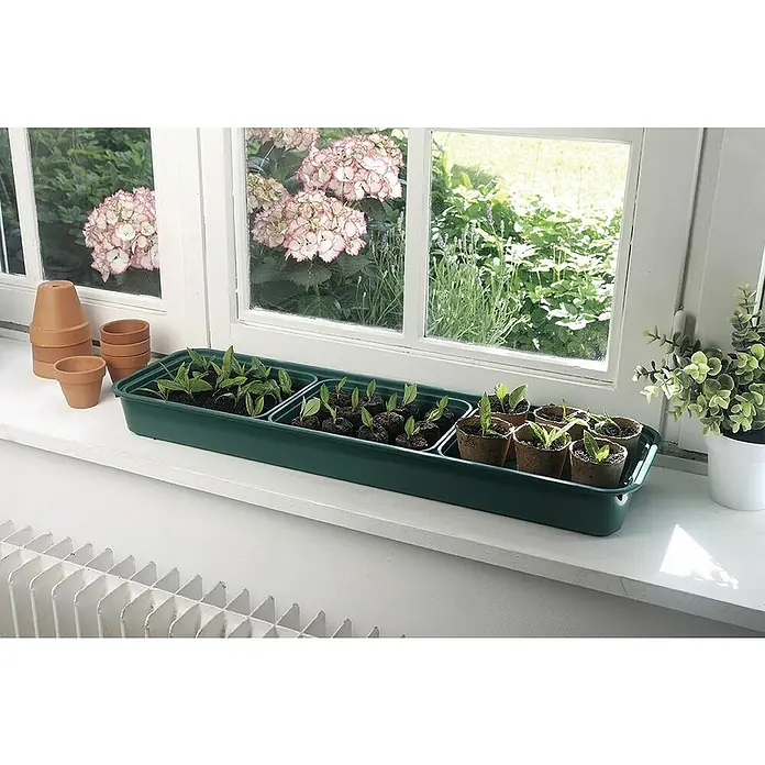 Nortene Invernadero Kit window - Medidas ext. (An x Pr): 19 x 66 cm, Verde/Transparente - Macetas de siembra y una bandeja de propagación verde con pequeñas plantas en un alféizar, listas para crecer en el jardín.