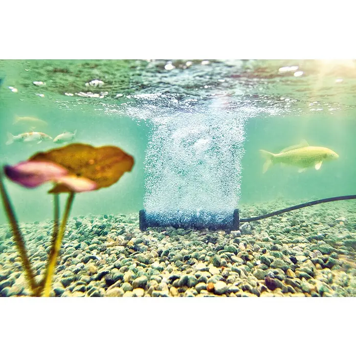 Oase Belüfterstab AQUAOXY L - Passend für: OASE AquaOxy 5000 oder 7500 - Nahaufnahme eines Aquariums mit Luftsprudler, der Sauerstoff für Fische und Pflanzen liefert.