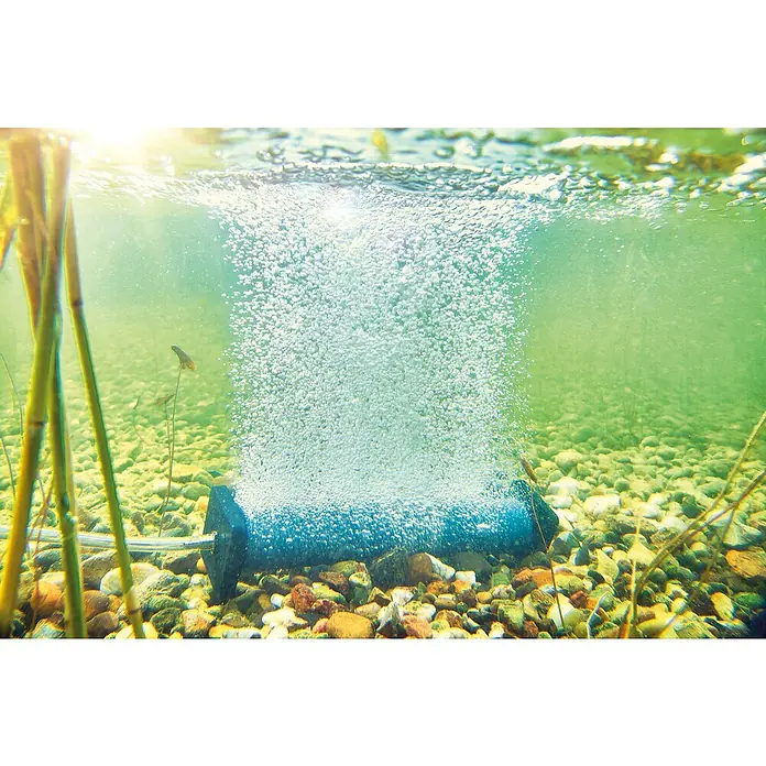 Oase Belüfterstab AQUA OXY - Passend für: OASE AquaOxy 1000 oder OASE AquaOxy 2500 - Unterwasseraufnahme eines Teichbelüfters mit aufsteigenden Luftblasen, umgeben von Pflanzen und Steinen am Teichgrund.
