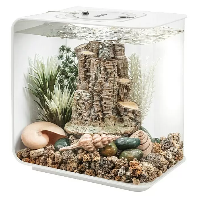 biOrb Deko-Set für Aquarien Forest Rythym - Passend für: biOrb Aquarien - Weißes Tisch-Aquarium mit Felsformation, Kunstpflanzen, Muscheln und Kies.