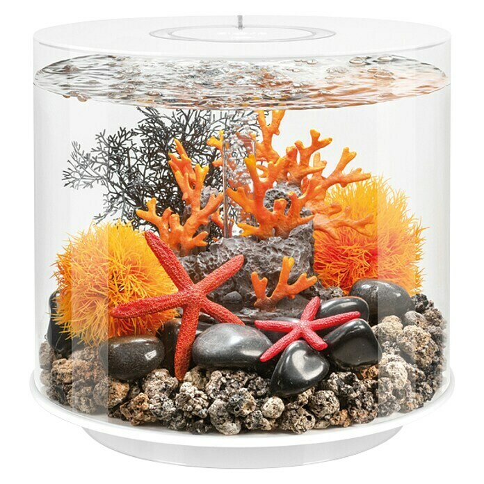 biOrb Deko-Set Orange FlamesPassend für: biOrb  Aquarien Front View