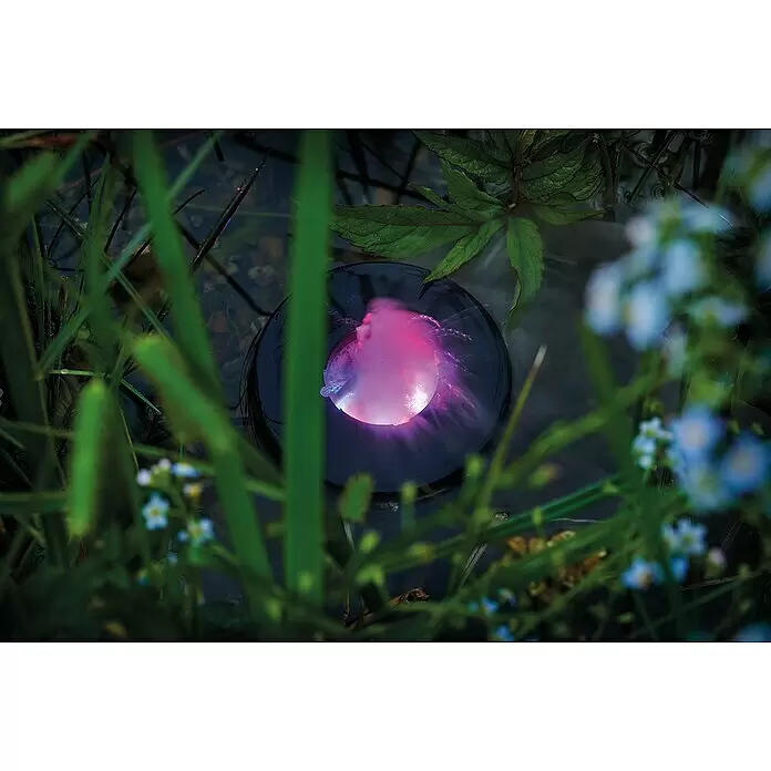 Pontec Vernebler PONDOFOG RGB - Geeignet für: Gartenteiche - Dunkle, runde Schwimmleuchte mit leuchtend pinkem Licht und Wassersprühstrahlen, umgeben von Pflanzen und blauen Blüten.
