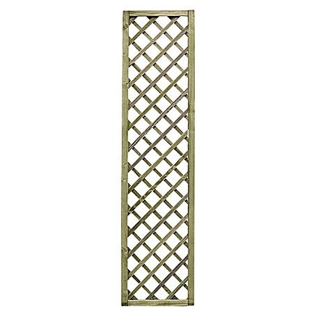 Cerland Celosía de madera Premices (An x Al: 40 x 180 cm, Natural)