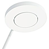 Ledvance SUN@Home LED-Tischleuchte Panan (15 W, L x B x H: 22 x 22 x 70 cm, Weiß, Kaltweiß) | BAUHAUS