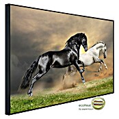 Papermoon Infrarot-Bildheizkörper Pferde schwarz weiss (100 cm x 600 mm, 600 W) | BAUHAUS
