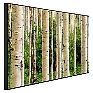 Papermoon Infrarot-Bildheizkörper Aspen Woods im Sommer (120 x 90 cm, 1.200 W)