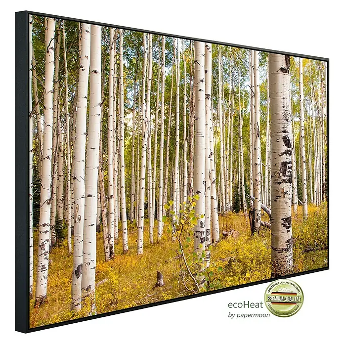 Papermoon Infrarot-Bildheizkörper Birken in Colorado Rocky Mountains - 600 x 500 mm, 350 W - Leinwandbild mit Birkenwaldmotiv, gerahmt und fertig zum Aufhängen. Hochwertiger Druck für ein stimmungsvolles Ambiente.