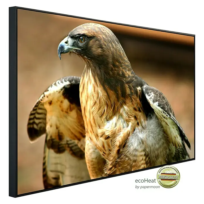 Papermoon Infrarot-Bildheizkörper Red Tail Hawk - 60 x 50 cm, 350 W - Das gerahmte Bild zeigt einen majestätischen Falken, ein Premium-Qualitätsprodukt, das die Schönheit der Natur ins Haus bringt.