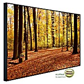 Papermoon Infrarot-Bildheizkörper Herbstwald 2 (100 x 60 cm, 800 W) | BAUHAUS