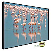 Papermoon Infrarot-Bildheizkörper Flamingos (100 cm x 600 mm, 600 W) | BAUHAUS