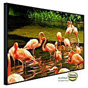 Papermoon Infrarot-Bildheizkörper Rosa Flamingos (90 x 50 cm, 450 W) | BAUHAUS