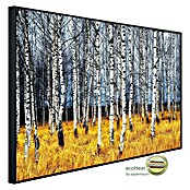 Papermoon Infrarot-Bildheizkörper Herbst Birkenhain (900 x 500 mm, 450 W) | BAUHAUS
