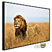 Papermoon Infrarot-Bildheizkörper Löwe in Masai Mara Kenia (120 x 60 cm, 1 000 W) | BAUHAUS