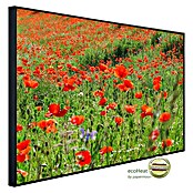 Papermoon Infrarot-Bildheizkörper Red Poppa Field (120 x 75 cm, 900 W) | BAUHAUS
